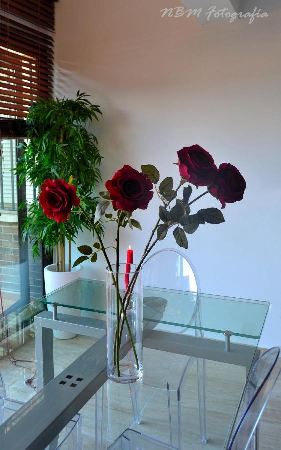 Amazing Frontal Beach Apartment #Traveller'S Awards2023 カディス エクステリア 写真
